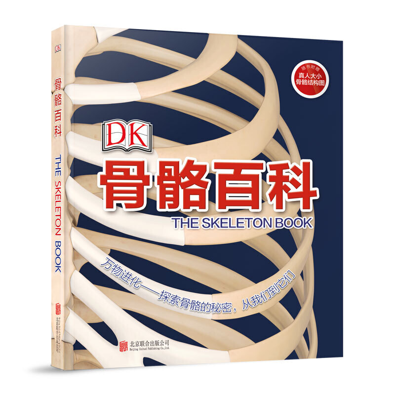 3-10岁 DK骨骼百科 -- 英国 DK 公司权威打造，邀请多位资深专家担任顾问