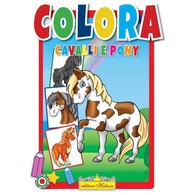 CAVALLO PONY 填色本