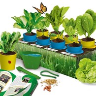 7岁以上 天才科学实验系列之我的第一个植物园 - 所有的种子都是有机种子， 开始孩子的第一次种植体验吧！ 通过天才科学实验游戏让孩子们充分学习关于科学的奥妙， 激发孩子的好奇心， 扩宽孩子的视野。